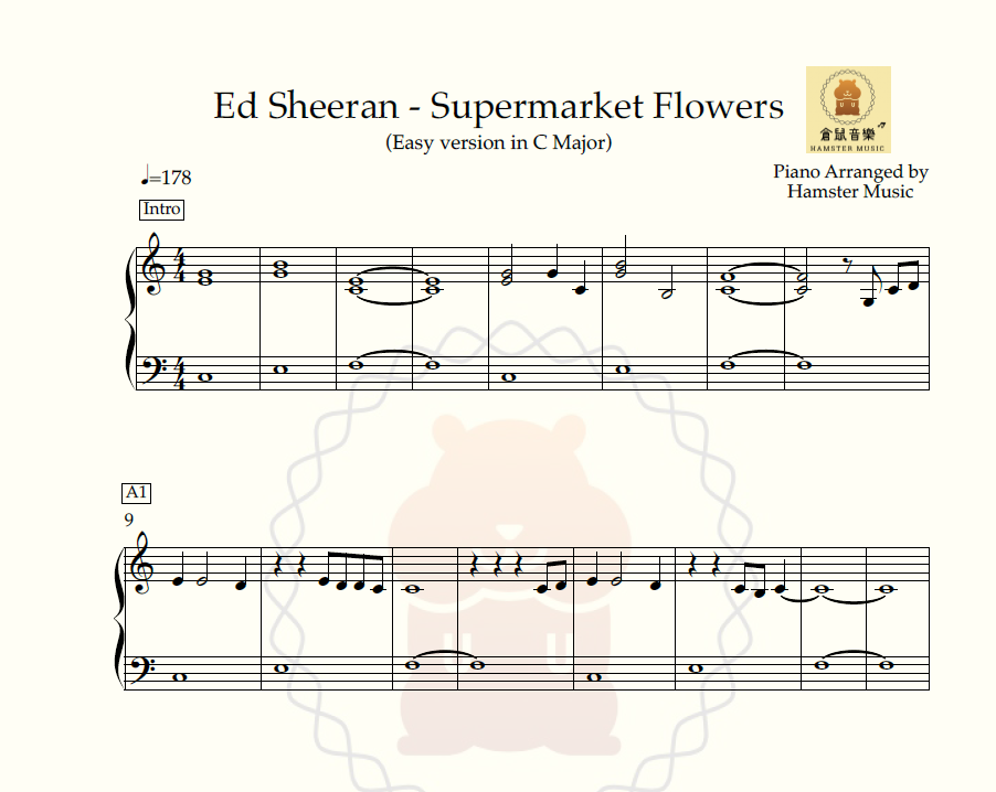 Ed Sheeran - Supermarket Flowers (Easy version in C)